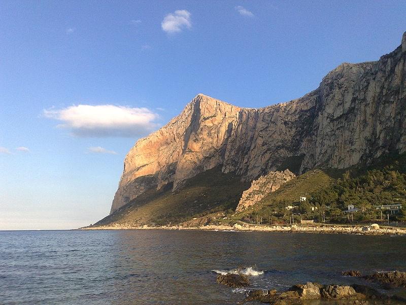 capogallo