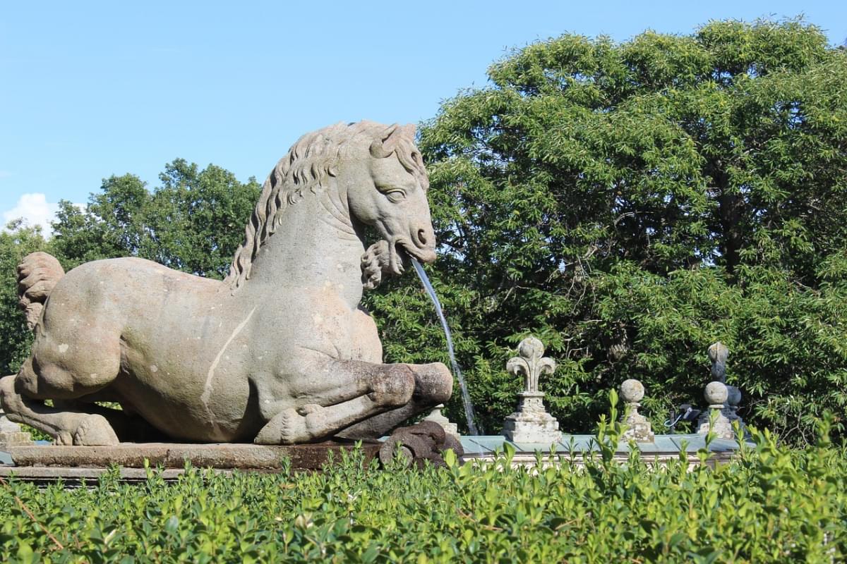 caprarola lazio italia cavallo