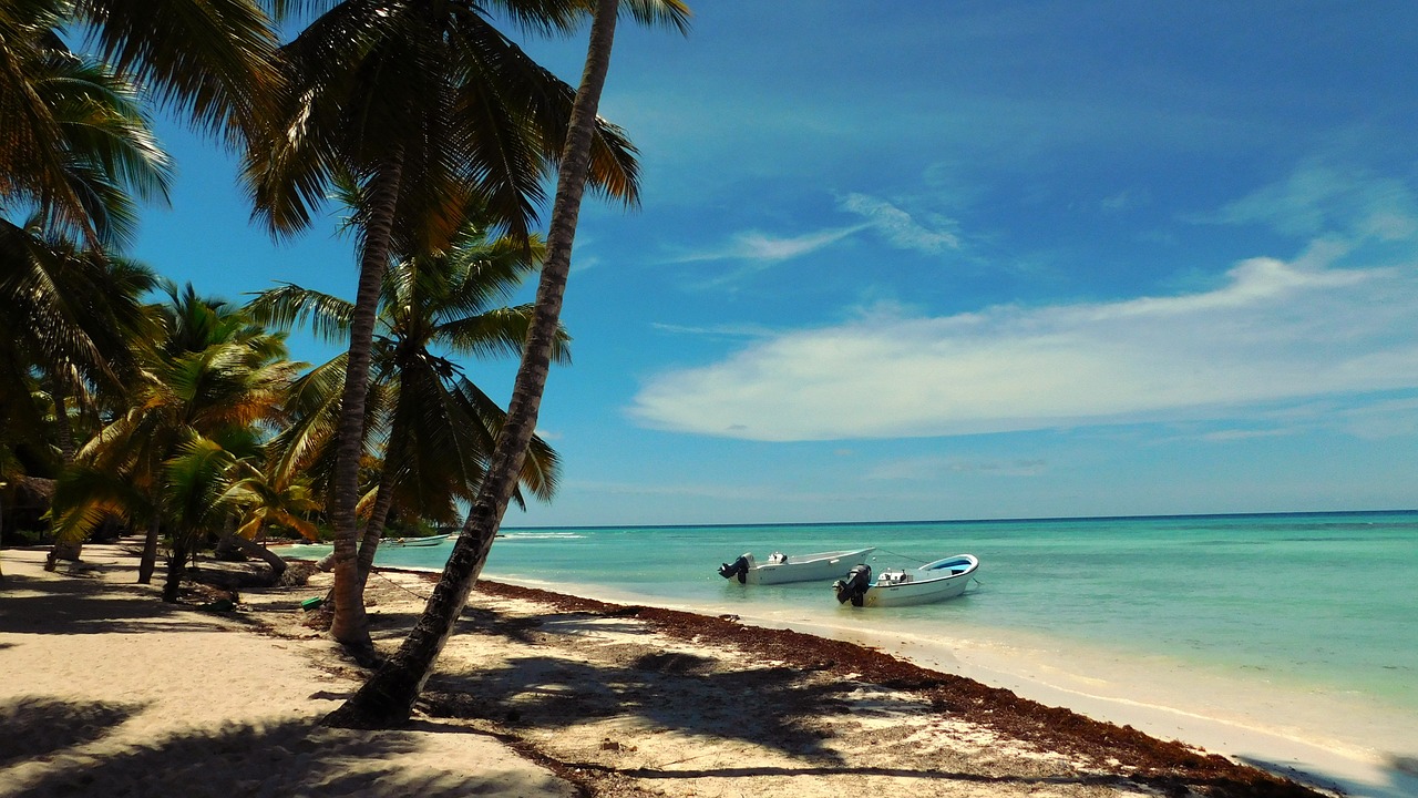 caraibi isola di saona mare