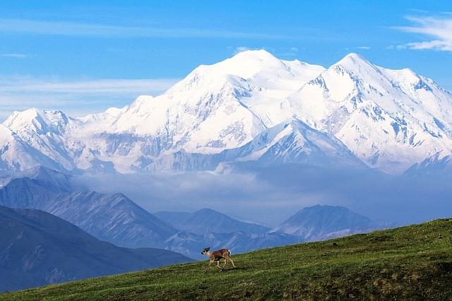 carib isole aleutine alaska