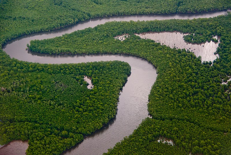 caroni swamp trinidad