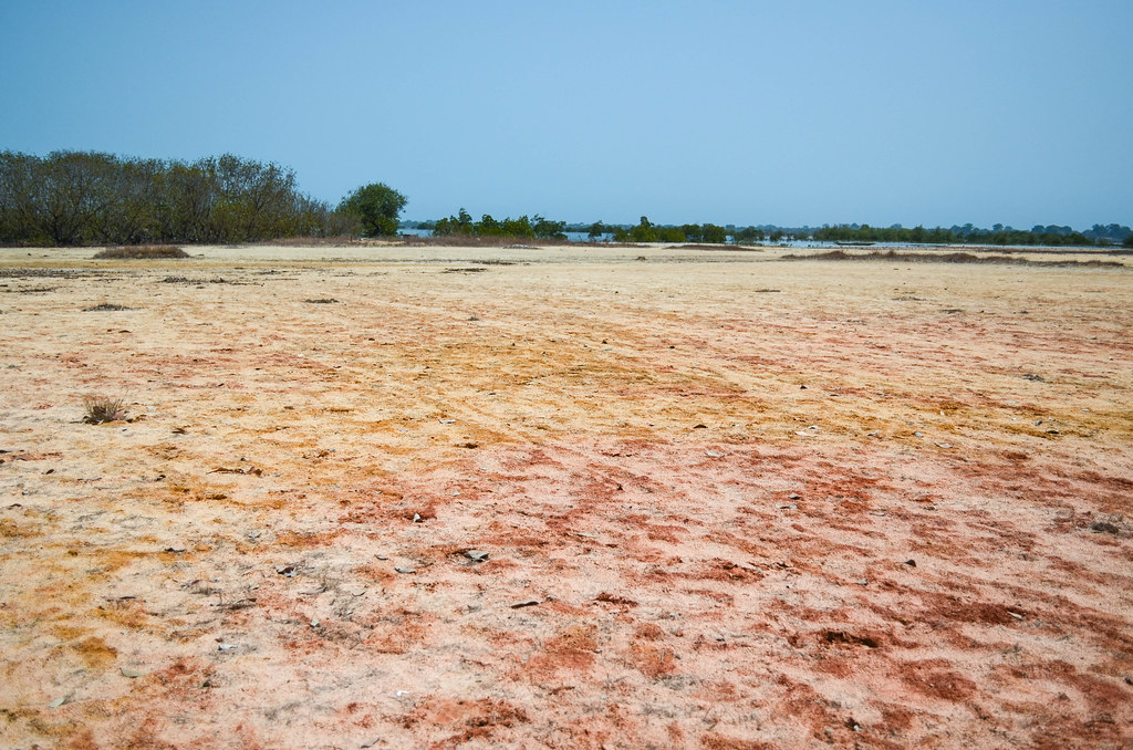 casamance