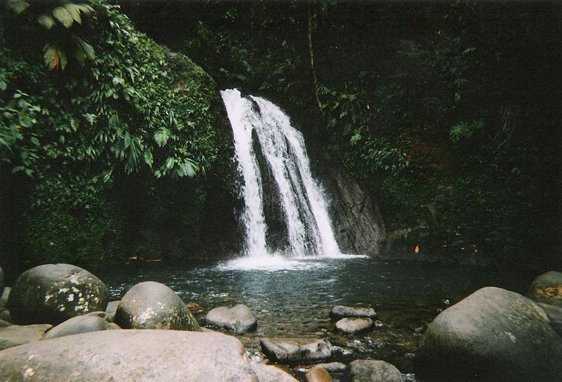 cascade aux ecrevisses 1