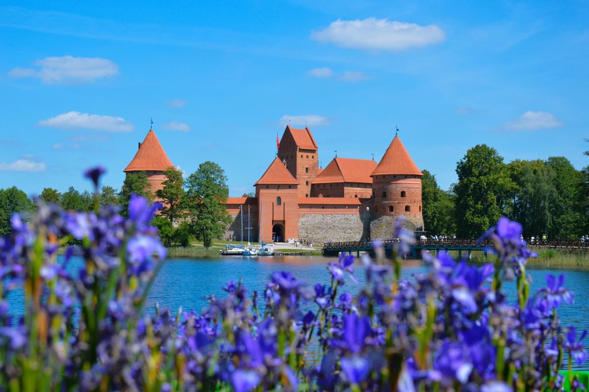 castello fiori acqua lago trakai