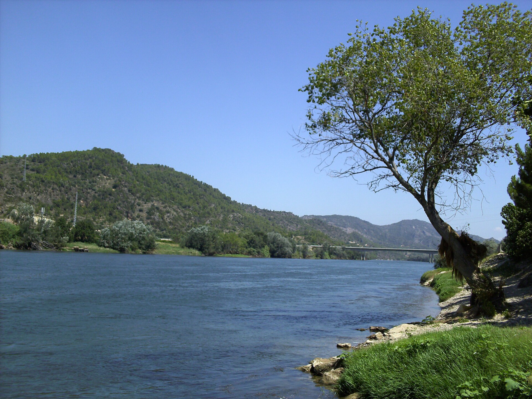 catalunya riu ebre benifallet