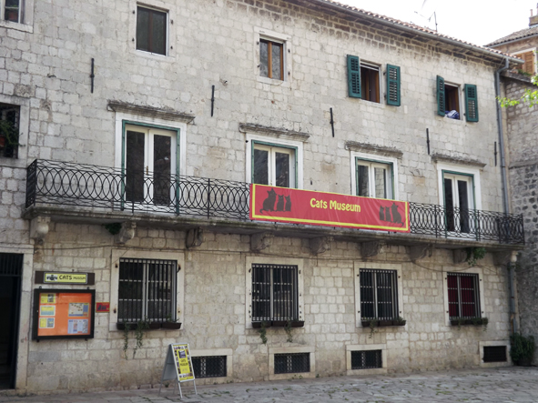 cats museum cattaro kotor