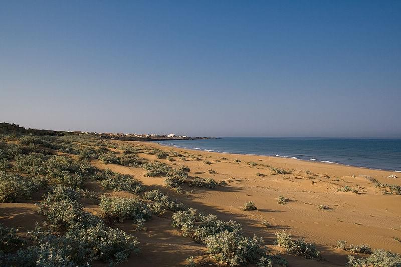 cava randello punta braccetto