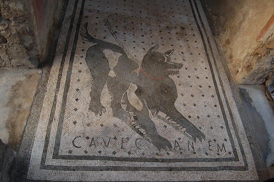 cave canem casa poeta tragico
