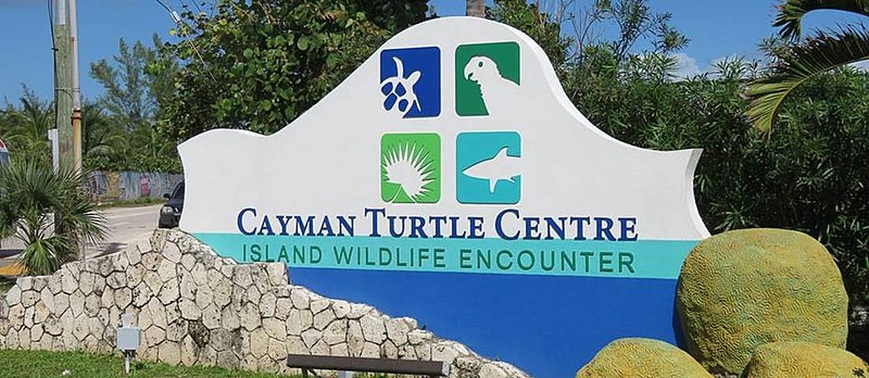 cayman turtle centre