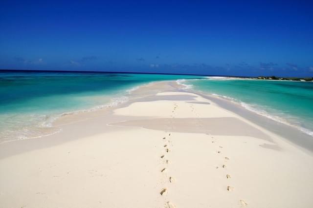 cayo de agua in los roques