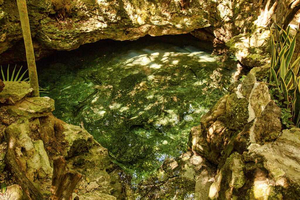 cenote sagrado sandos caracol eco resort mexico