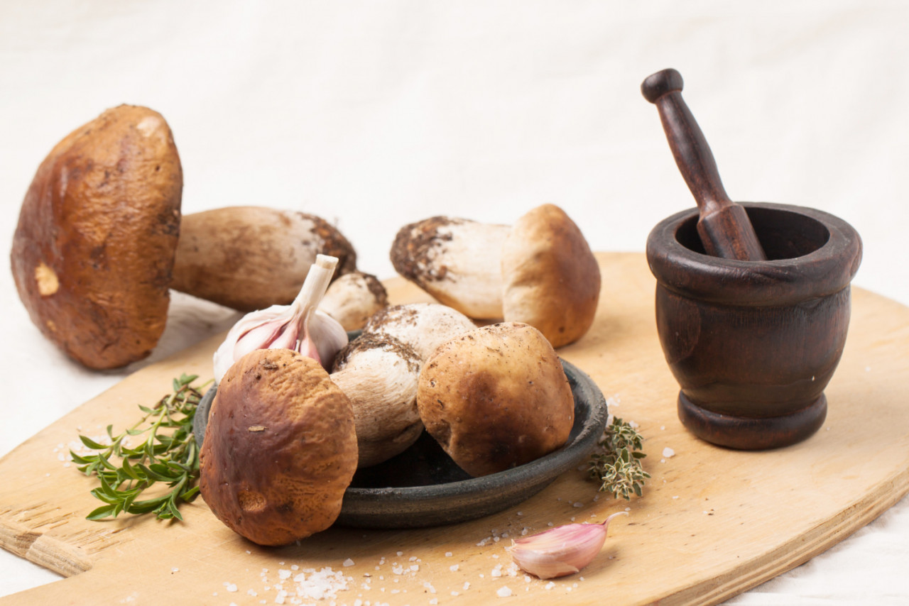 cep mushrooms with vintage mortar