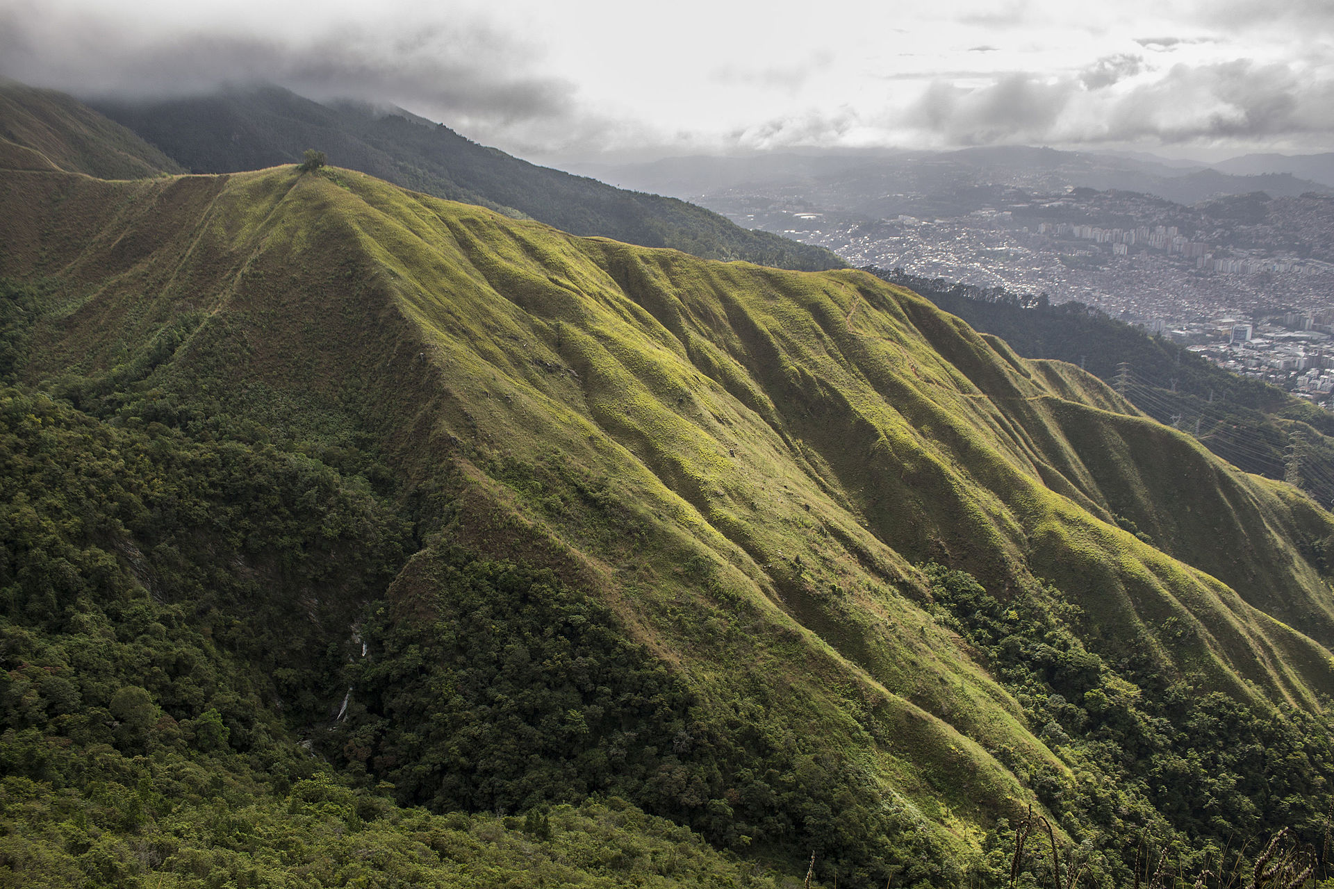 cerro el avila