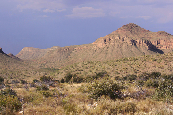 11 - Deserto di Chihuahua: 360.000 km²