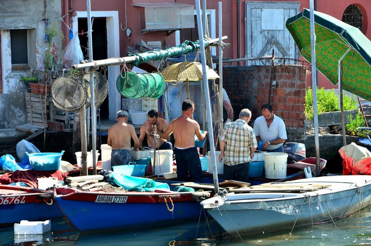 chioggia 1