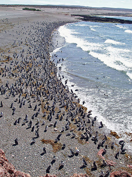 chubut puntatombo p2220157b small