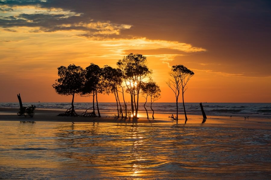 cielo tramonto darwin 1