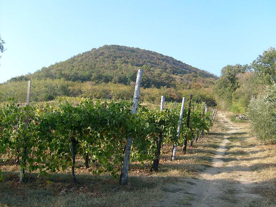 cinto euganeo