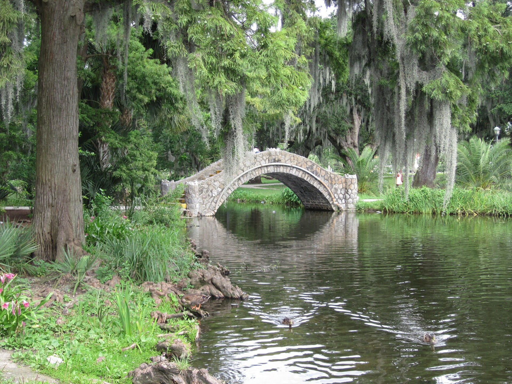 cityparkbayoubridge