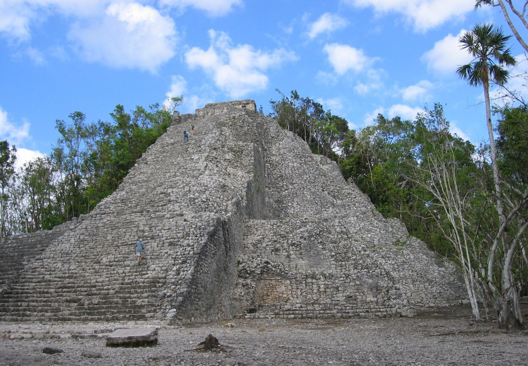 cobaelcastillo