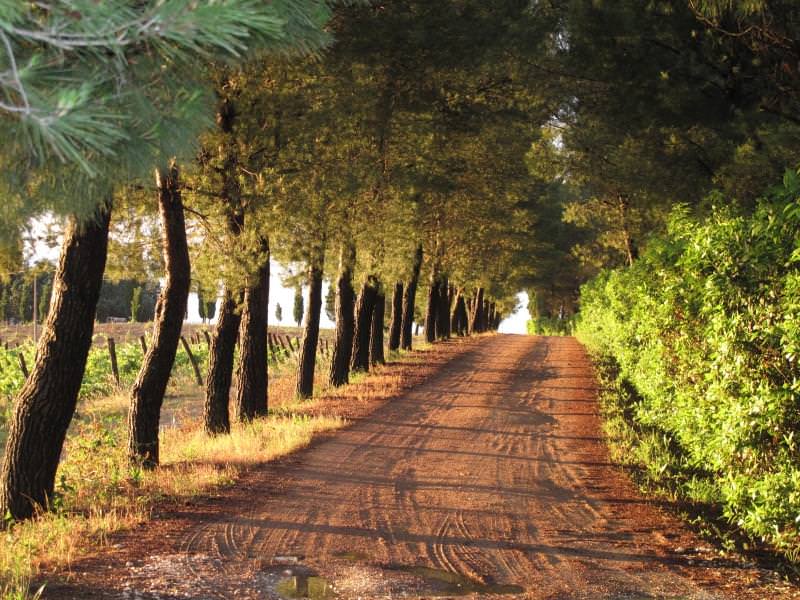 Agriturismo Colle Verde