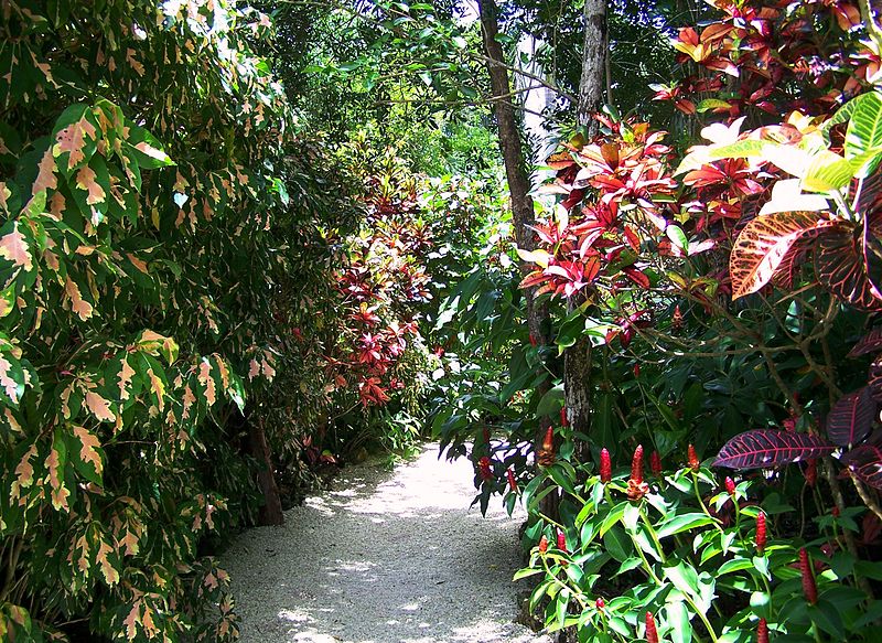 color garden trail qeii botanic park