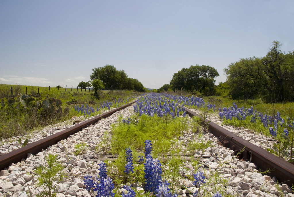 colorado bend state park camping road trip