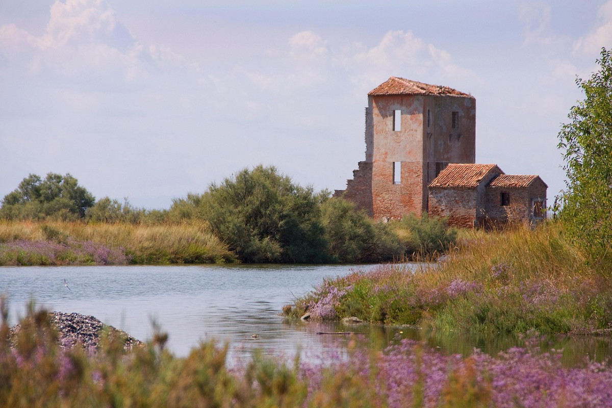 comacchio natura italia