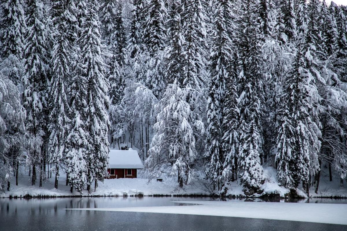 conifere lago casa nevicare
