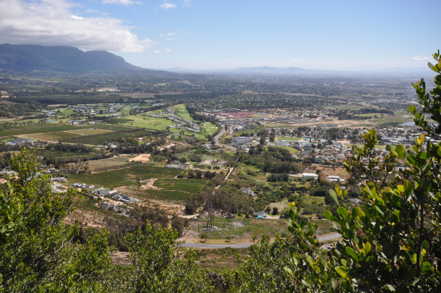 constantia tal