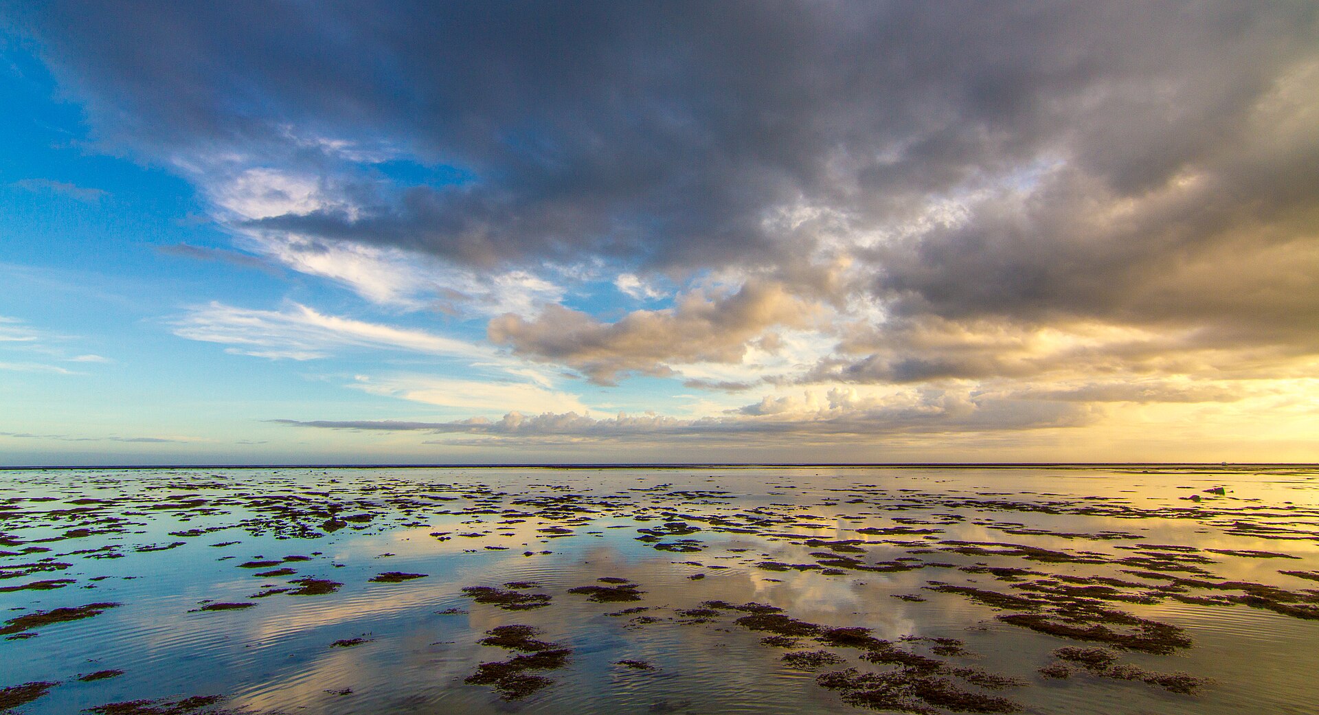 coral coast sunset
