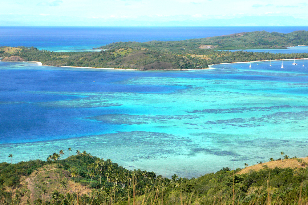coral view