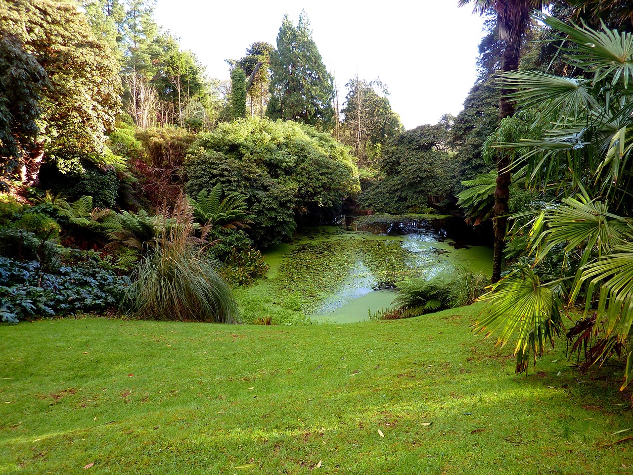 cornovaglia giardino