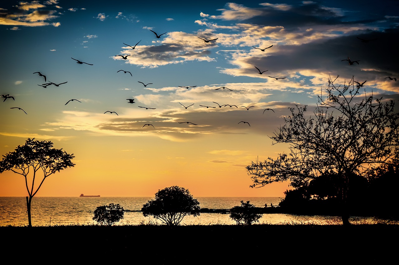 croazia umag mare adriatico istria