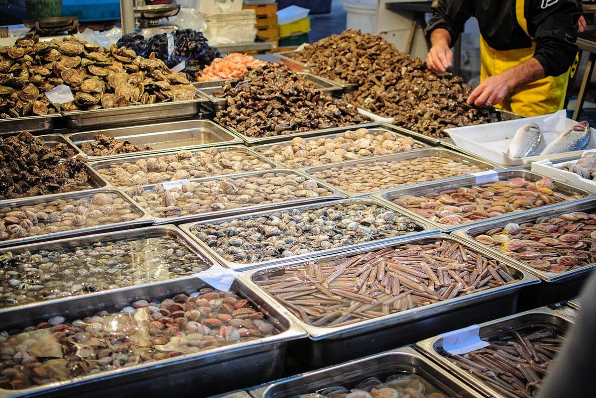 crudo mare barletta - foto di italo greco