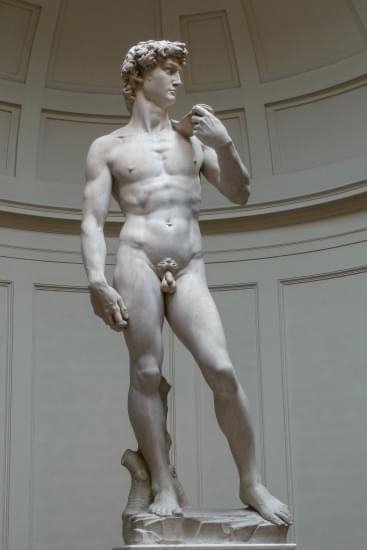 david di michelangelo