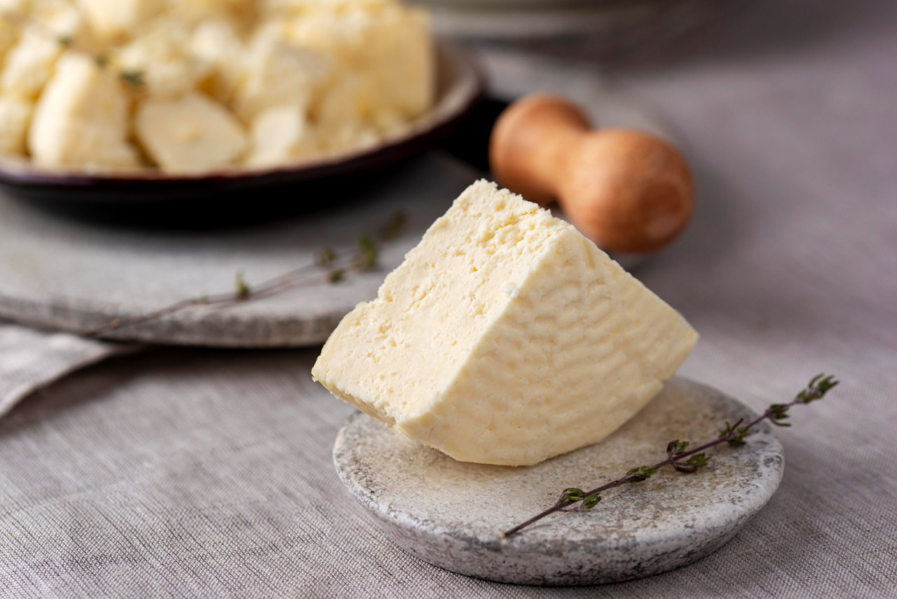 delicious paneer cheese assortment