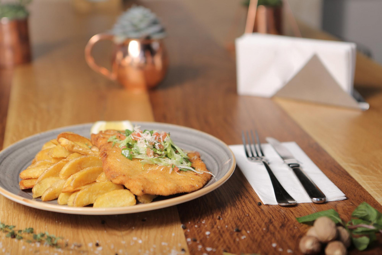 delicious schnitzel served with french fries