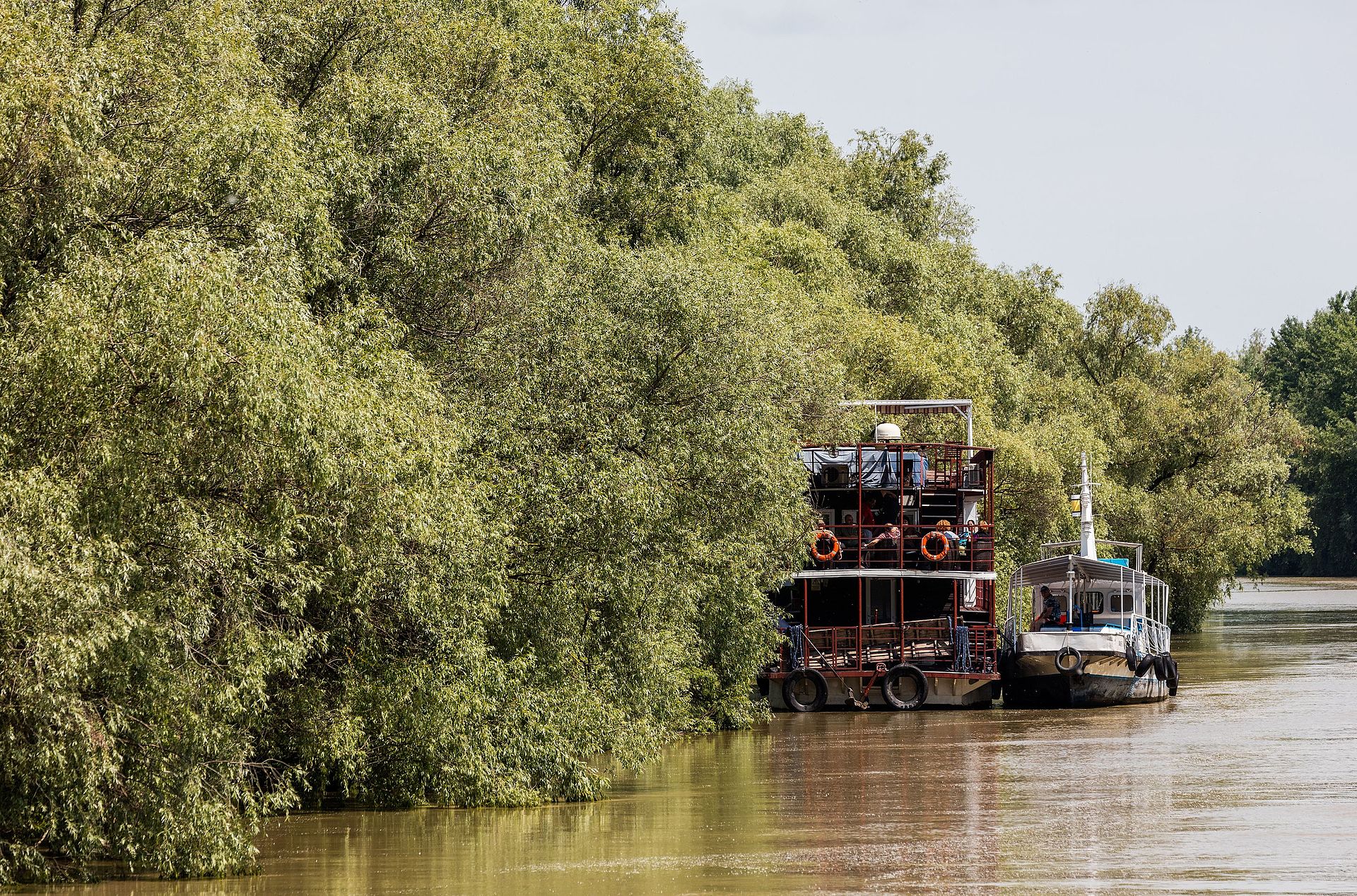 delta del danubio rumania 2016 05 28 dd 13