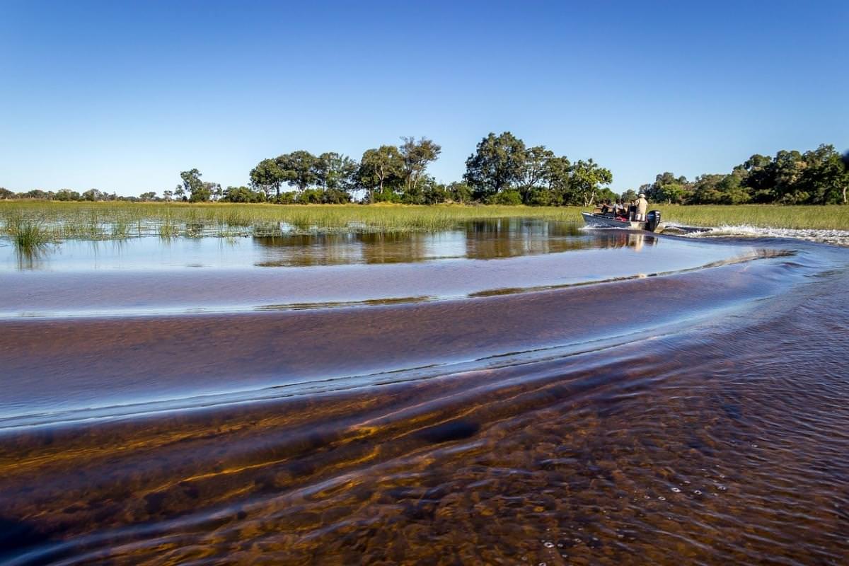 delta dell okavango botswana africa