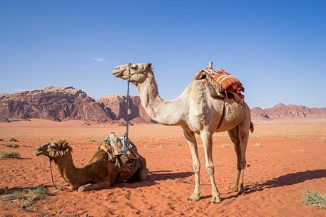deserto wadi rum
