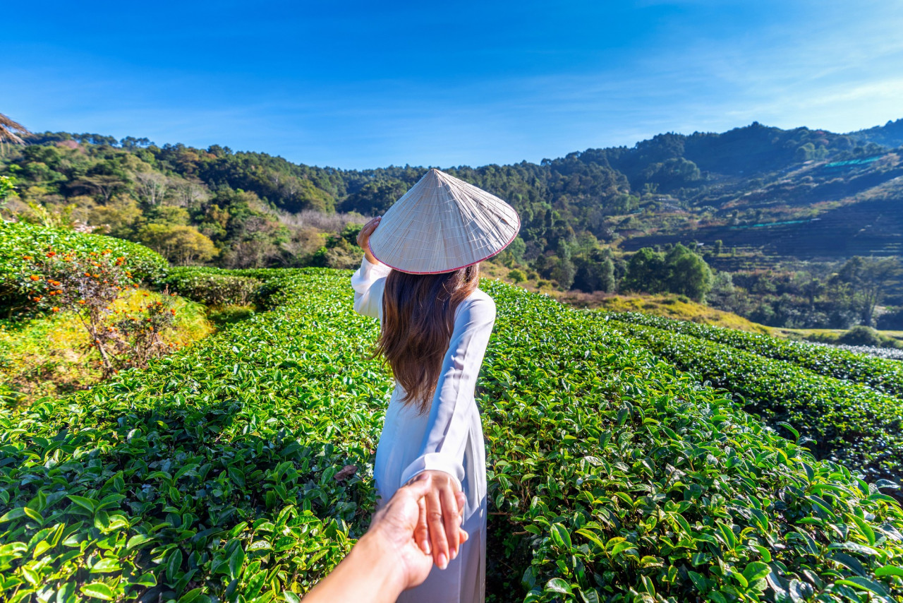 Guida vietnam info consigli di viaggio e itinerari
