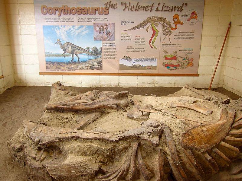 dinosaur provincial park