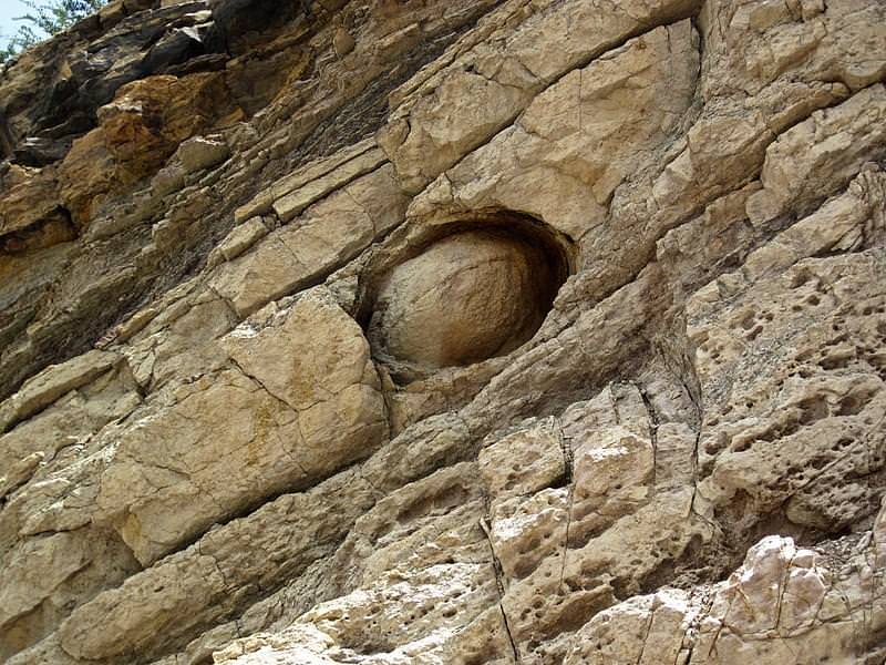 dinosaur ridge colorado usa