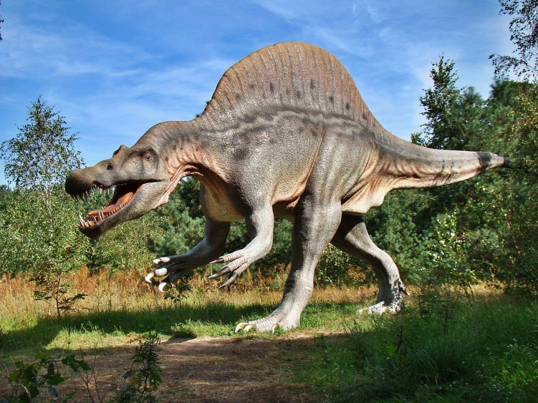 Dinosauro Parco Dei Dinosauri