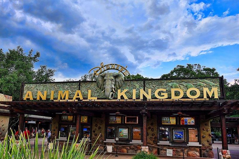 disney animal kingdom orlando