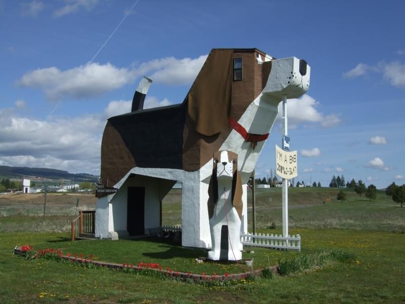 Dog bark park inn