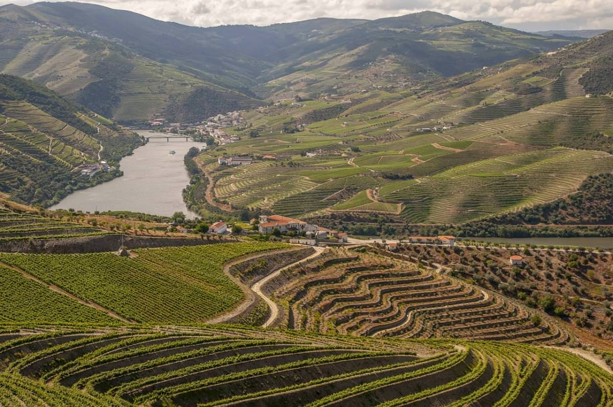 douro portogallo vigneti