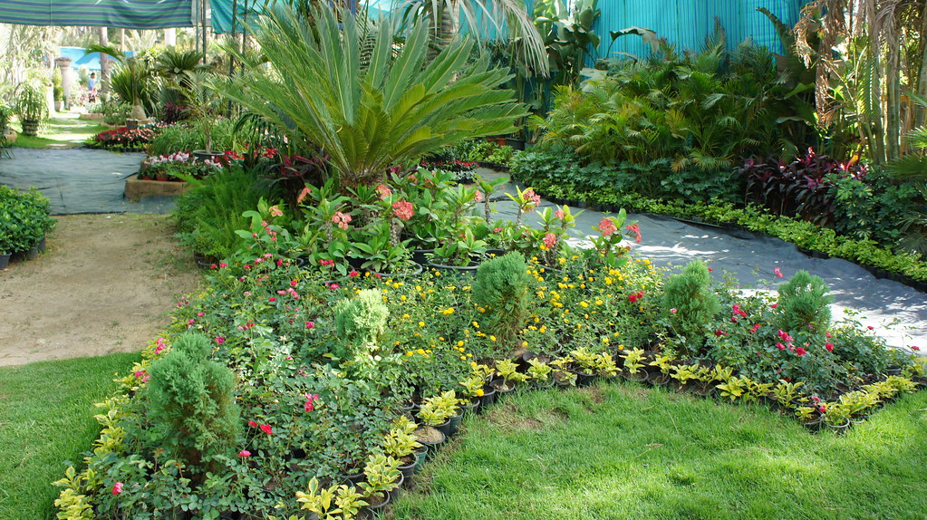 dsc08319