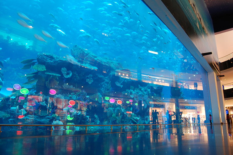 05 dubai aquarium